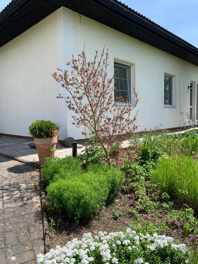 Studiovy Apartman V Zahrade Police nad Metují Εξωτερικό φωτογραφία